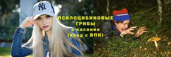 гидра Протвино