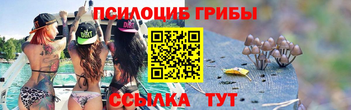 Галлюциногенные грибы Psilocybine cubensis  Вход с VPN  Каменск-Шахтинский  хочу наркоту  Псилоцибиновые грибы MAGIC MUSHROOMS 