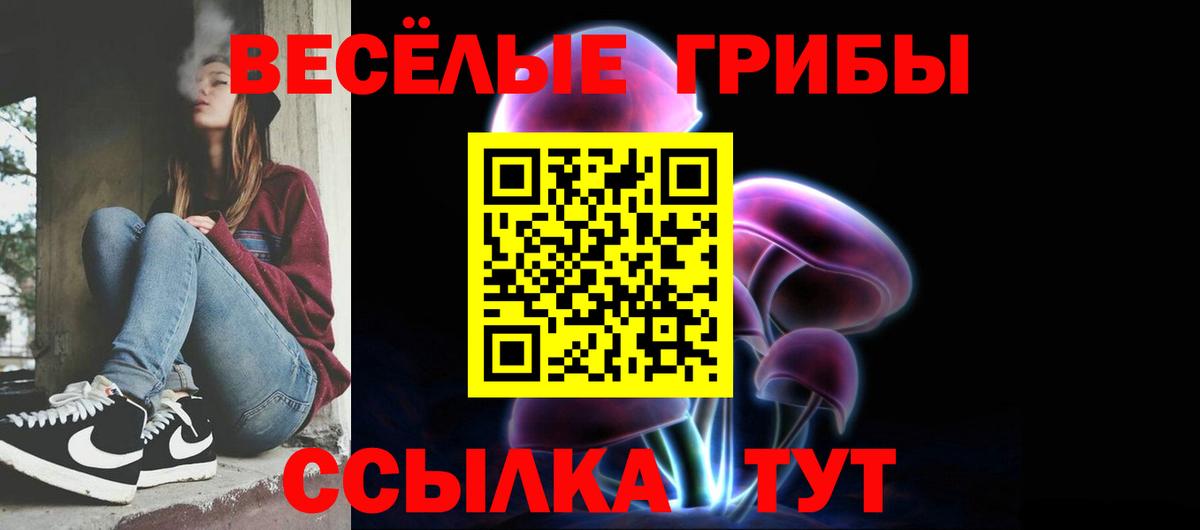 Галлюциногенные грибы прущие грибы Каменск-Шахтинский